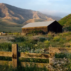 Christy barn, Santa Cruz Island