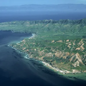 Southwest side, 4500 feet, Santa Cruz Island