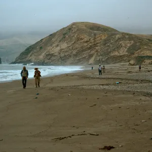 Sauces Beach, Santa Cruz Island