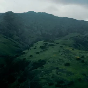 Smugglers Canyon, Santa Cruz Island