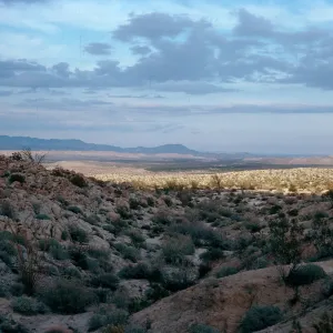 Torute Bowl Trail, Bow Willow, Anza Borrego