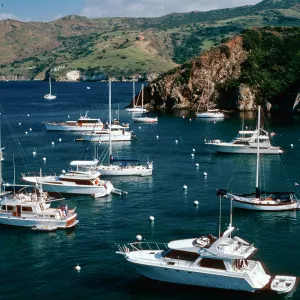 Cherry Cove, Catalina Island