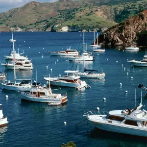 Cherry Cove, Catalina Island