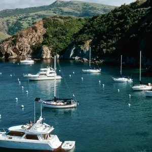 Cherry Cove, Catalina Island