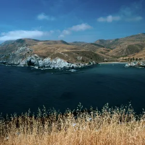 Little Harbor view, Catalina Island