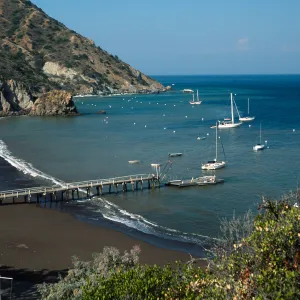 Whites Landing, Catalina Island