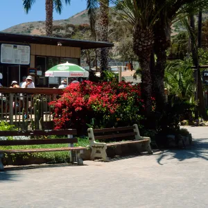 restaurant at Two Harbors, Catalina Island
