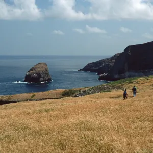 North side, Santa Barbara Island
