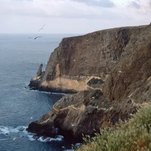 North Peak, Santa Barbara Island