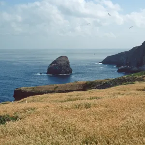 Shag Rock, North end, Santa Barbara Island