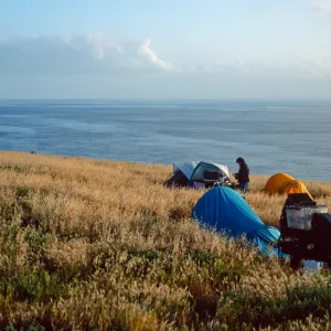 campground, Santa Barbara Island