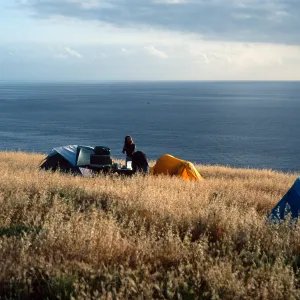 campground, Santa Barbara Island