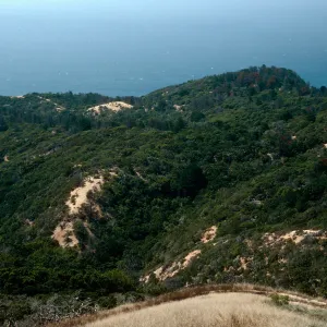 West side of China Pines, from abandoned road, Santa Cruz Island