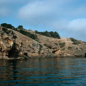 North shore between Pelican Bay & Prisoners Harbor, Santa Cruz Island