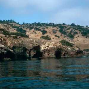 West of Pelican Bay, Santa Cruz Island