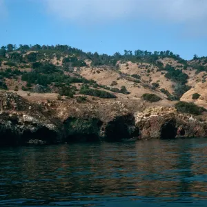West of Pelican Bay, Santa Cruz Island