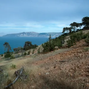 West of Pelican Bay, Santa Cruz Island