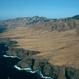 Northwest shore, Santa Cruz Island