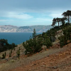 East of Twin Canyon, Santa Cruz Island