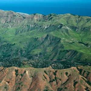 Christy Pines & vicinity, Santa Cruz Island