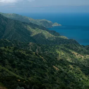 Northwest side of island, Santa Catalina Island
