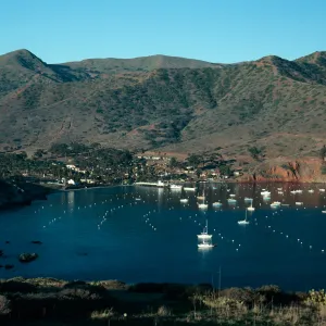 Isthmus Cove, Santa Catalina Island