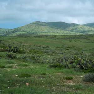 Northwest of Little Harbor, Santa Catalina Island