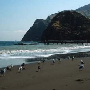 Whites Landing, Santa Catalina Island