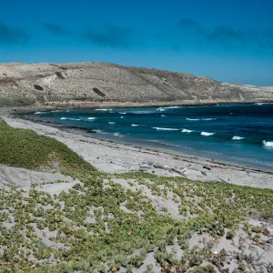 Red Eye Beach, San Nicolas Island