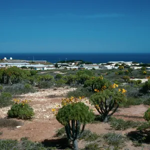 living compound, San Nicolas Island