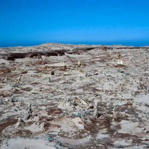 caliche, West end of terrace, San Nicolas Island