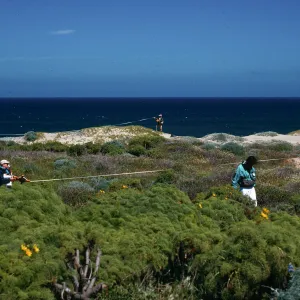 transects, beach road, 0.7 mile West of bottom of airfield grade, San Nicolas Island
