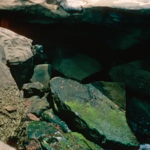 Killerwhale Cave entrance, San Nicolas Island