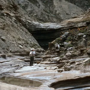 Jennifer Stone, Celery Canyon, San Nicolas Island