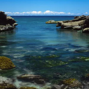coastline, near Balloon Launch Building, San Nicolas Island