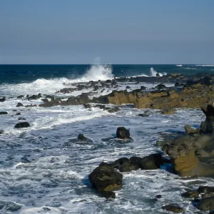 surf, just West of Rock Crusher, San Nicolas Island