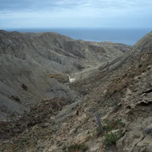 1st canyon, West of South range marker poles, San Nicolas Island