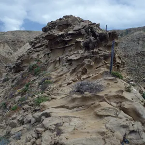 ridge between 1st & 2nd canyons, West of South range marker poles, San Nicolas Island