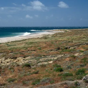 coastal slopes, Daytona Beach, San Nicolas Island