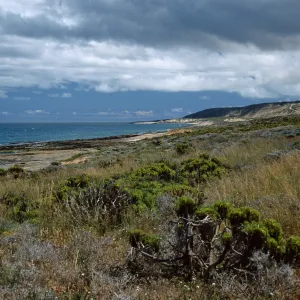 coastline at Balloon Launch Building, San Nicolas Island