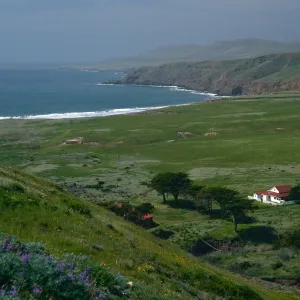 Christy Ranch, Santa Cruz Island