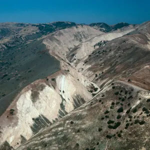 Stanton/Gherini property line, South side, Santa Cruz Island