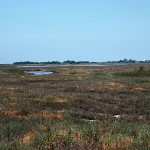 Carpinteria salt marsh