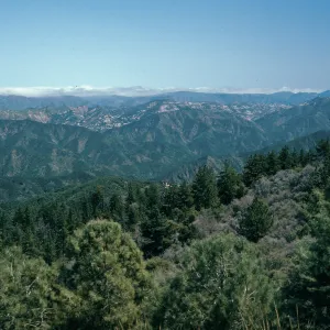 Hurricane Deck from Catway Road, Santa Barbara County
