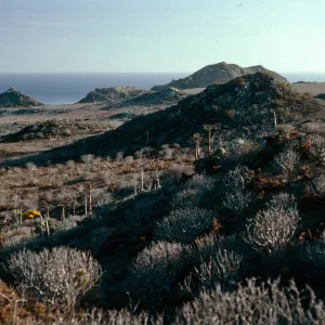 East San Benito Island