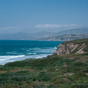 beach near Point Conception