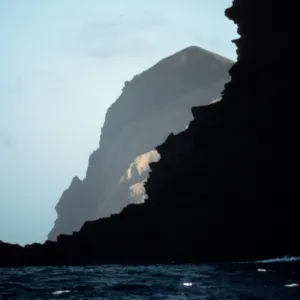 outer islet, Guadalupe Island
