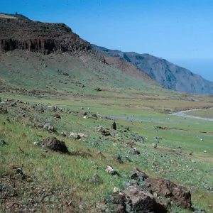 meadow below lower Circus- looking Northeast, Guadalupe Island