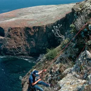 Steve McCabe, bluffs at Platt’s Harbor, Santa Cruz Island