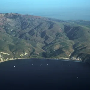 Smugglers Cove, Santa Cruz Island